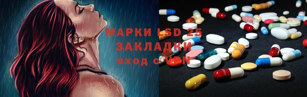СК Алексин