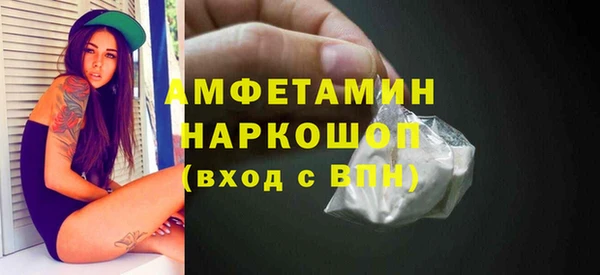 СК Алексин