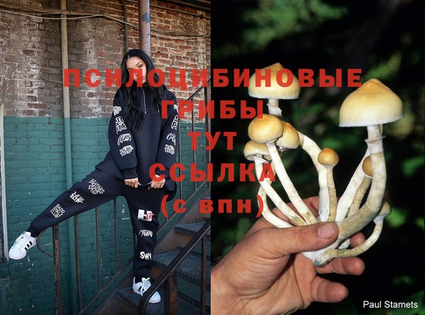 бошки Алзамай