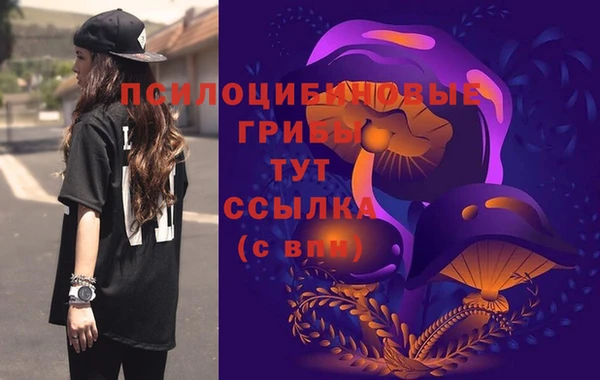 PSILOCYBIN Абинск